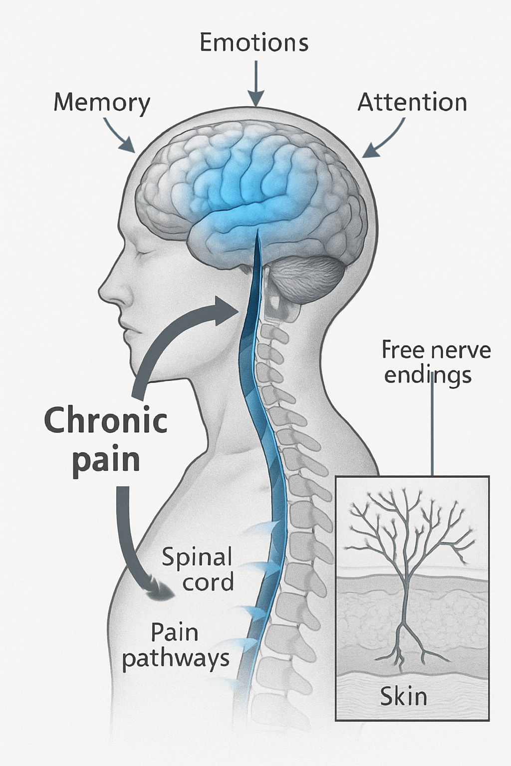 Τι είναι ο χρόνιος πόνος;